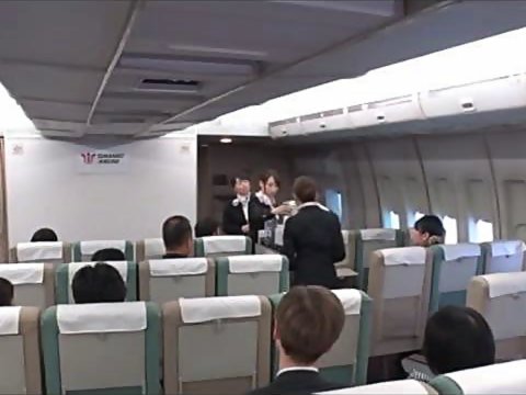 Earnie reccomend japan airline