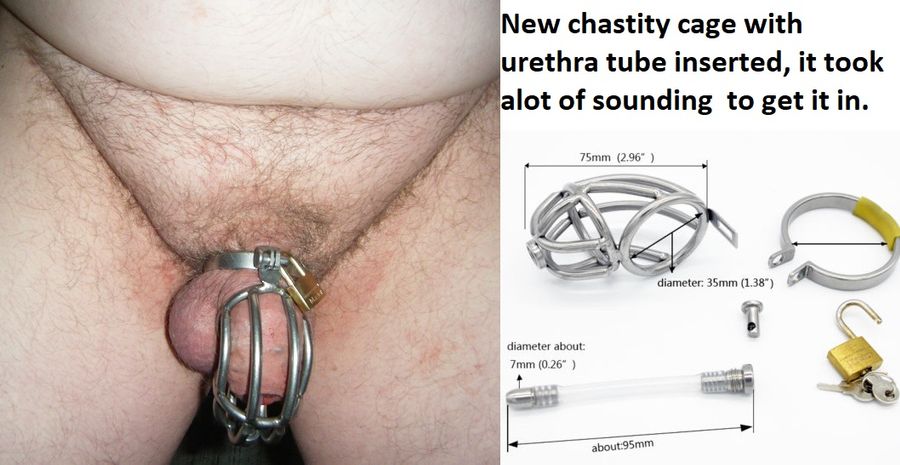 Chastity cock cage