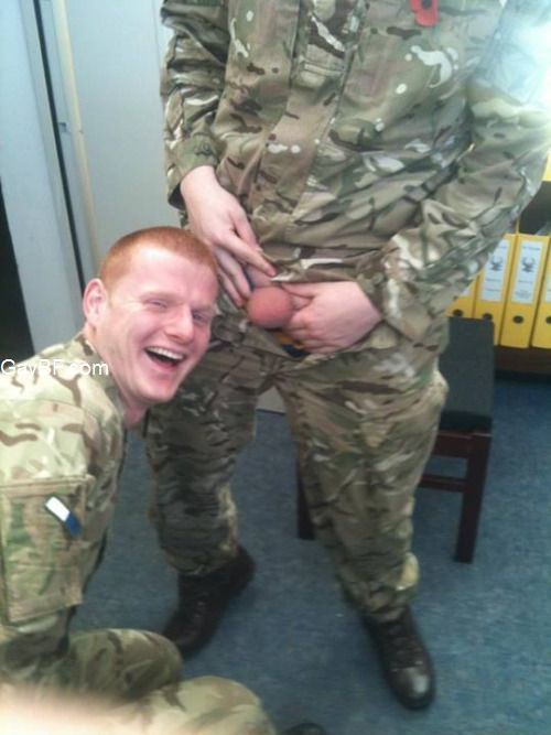 Bisexual military