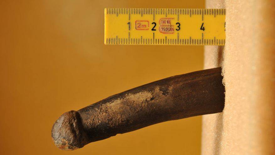 best of Dildo sweden prehistoric in Stoneage found